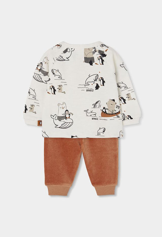 Completo pinguini
