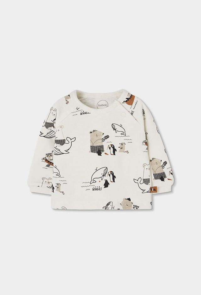 Completo pinguini