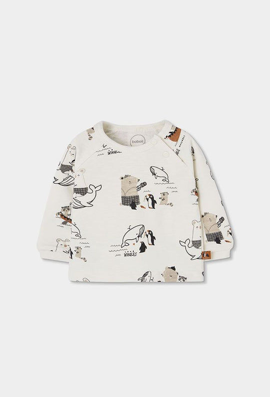 Completo pinguini