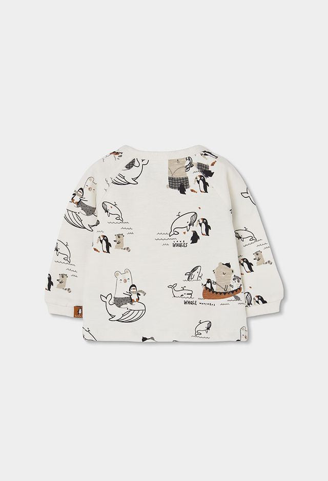 Completo pinguini