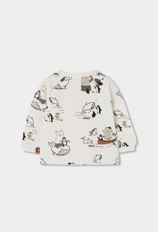 Completo pinguini