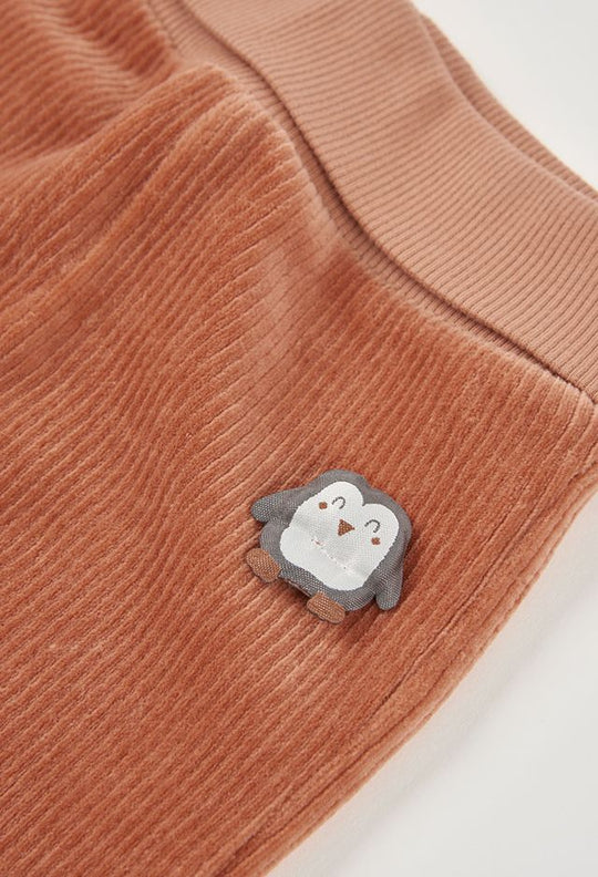 Completo pinguini