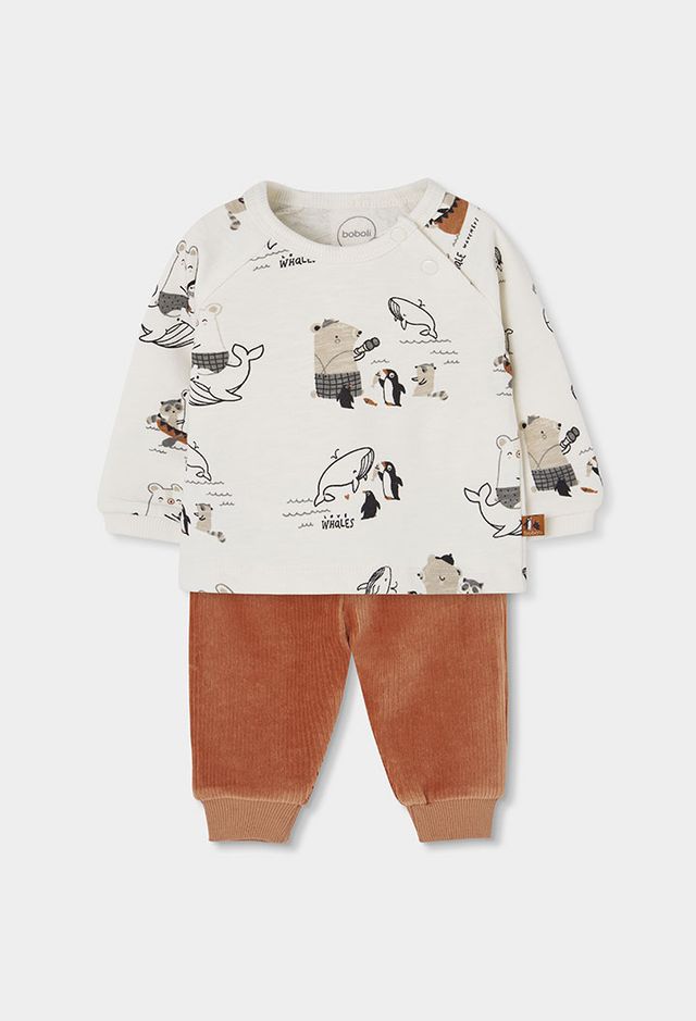 Completo pinguini